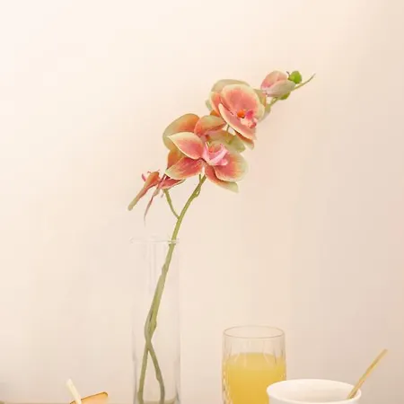 Residenza Di Fedralia Nafplio