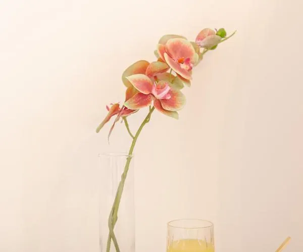 Residenza Di Fedralia نافبليو